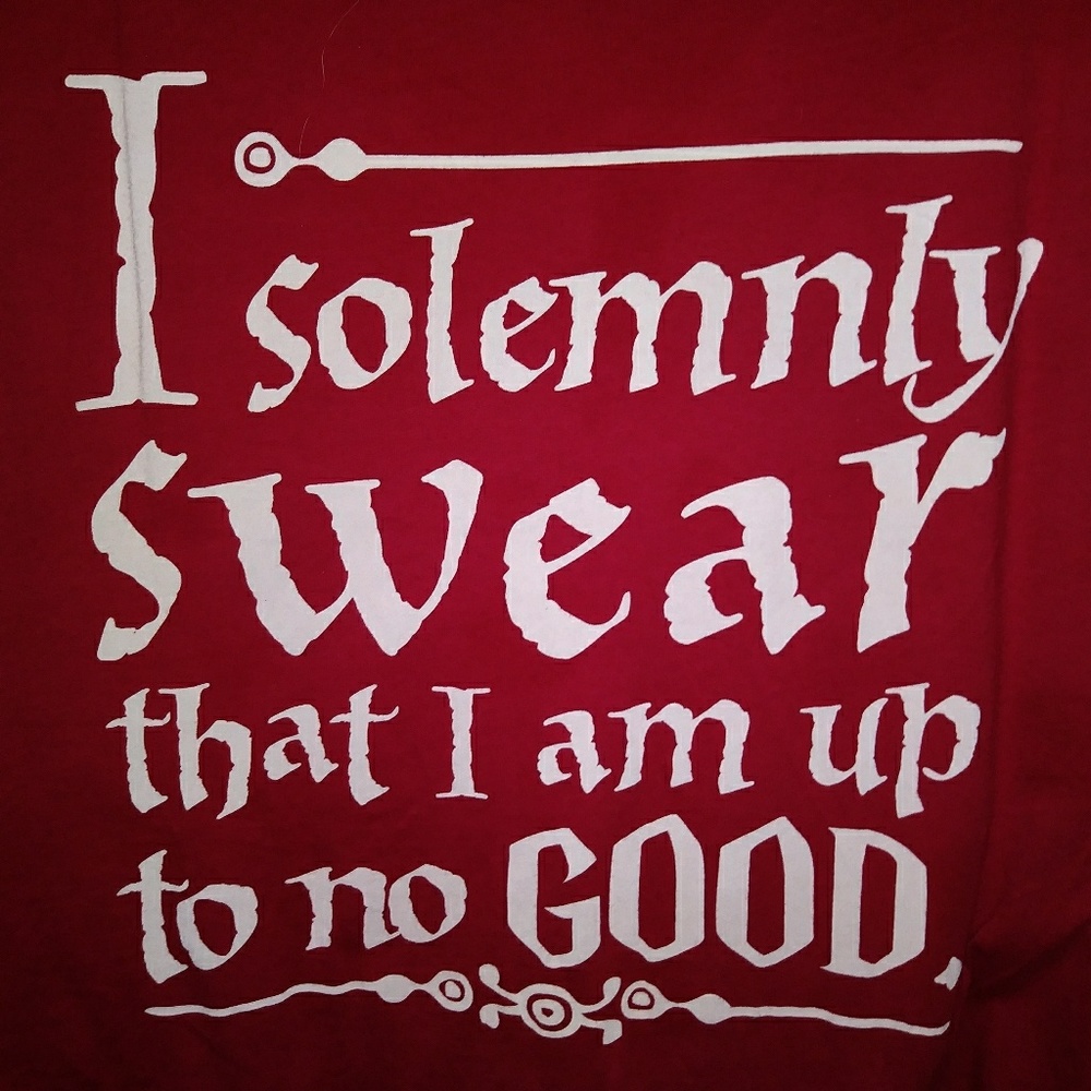 I Solemnly Swear..Harry Potter Torrid Shirt